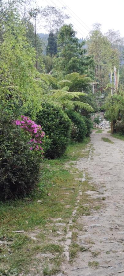Ifseen Villa Pelling Exterior photo