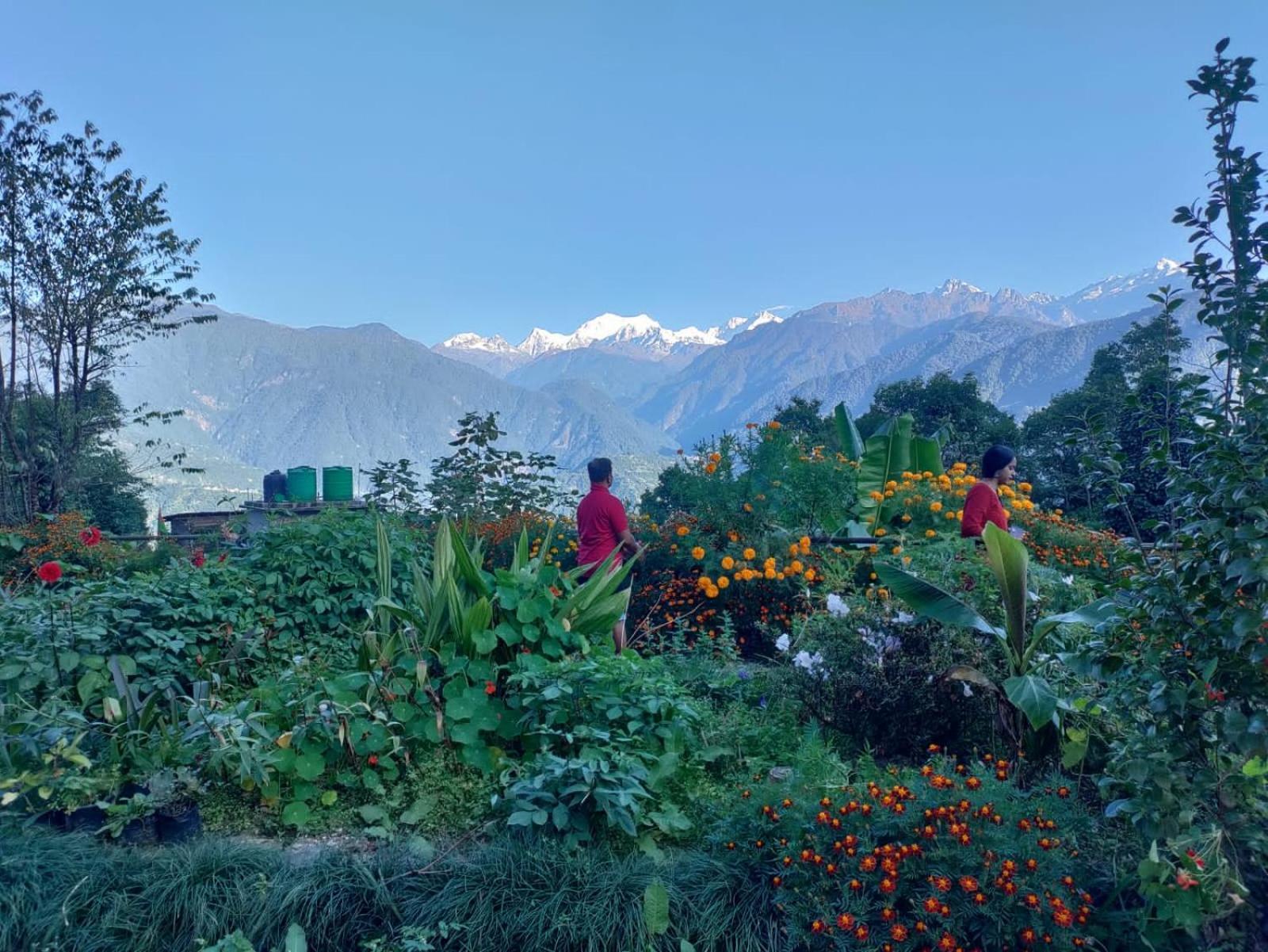 Ifseen Villa Pelling Exterior photo